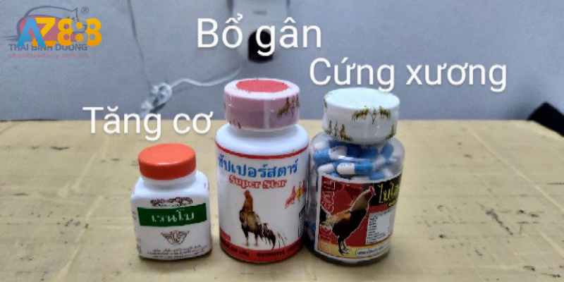 Giới thiệu thuốc tăng cơ gà đá